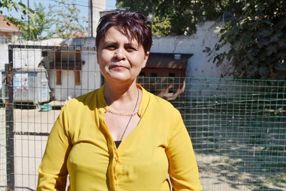 Sokak Hayvanları İçin "Bir Kap Su" Çağrısı
