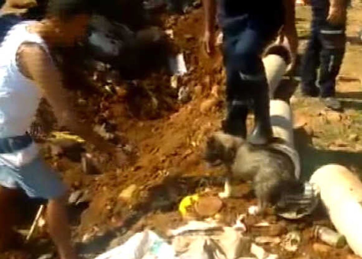 Su Borusunda Mahsur Kalan Yavru Köpek Kurtarıldı