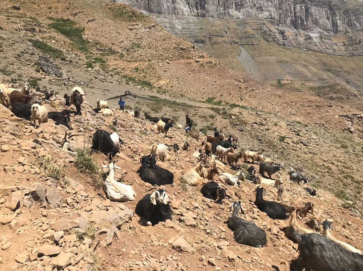 Terör Gitti, Dağlar ve Yaylalar Şenlendi
