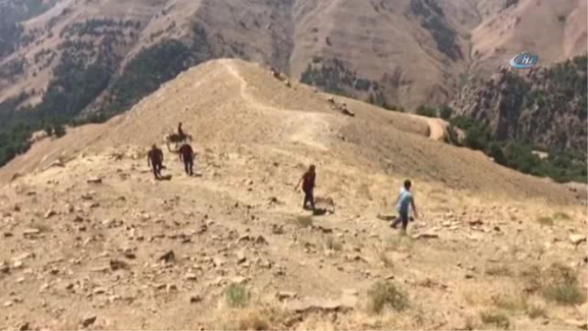 Veterinerler Hayvanları Aşılamak İçin At Sırtında Dağ Köyleri ve Yaylalara Çıktı