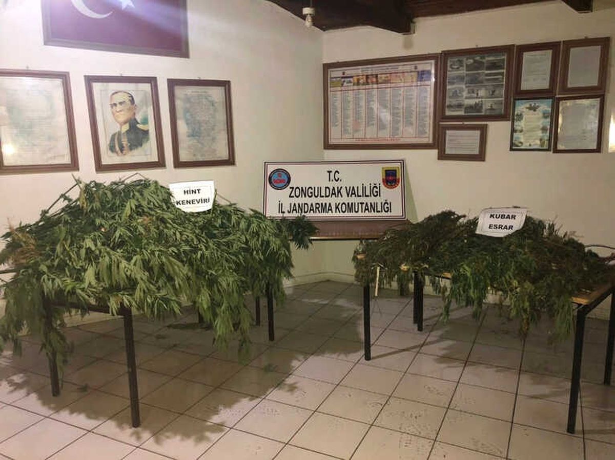 Zonguldak\'ta Uyuşturucu Operasyonu