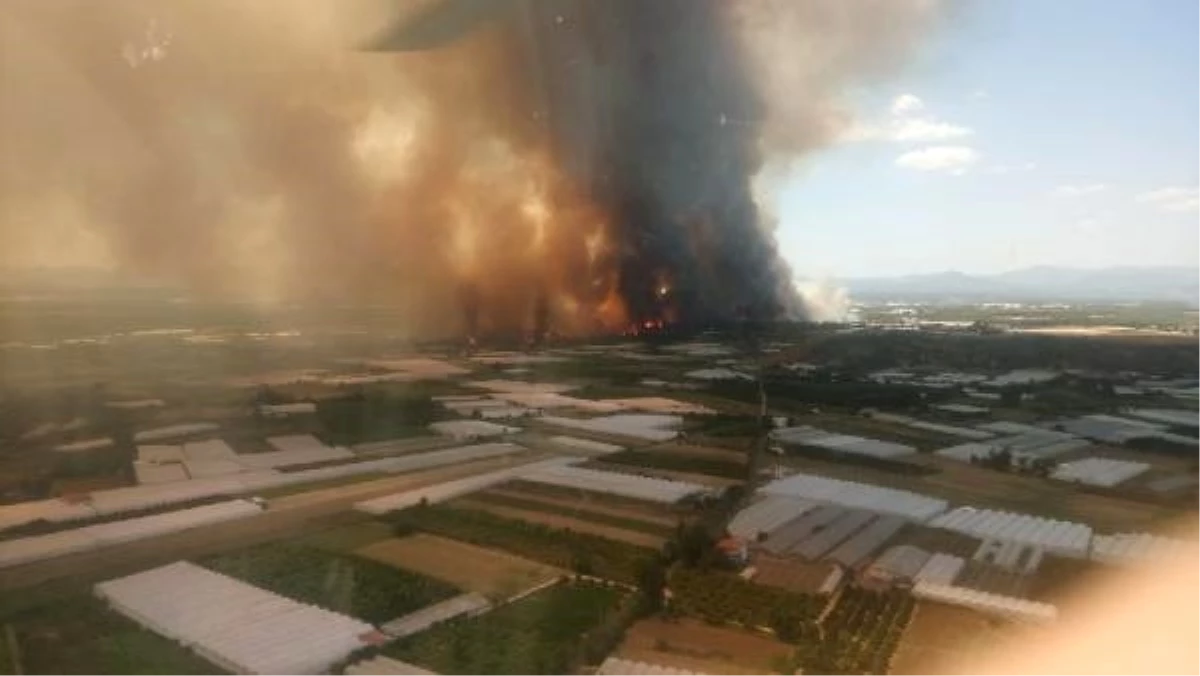 Antalya Aksu\'da Orman Yangını (1)
