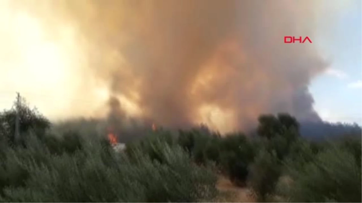 Antalya Antalya Aksu\'da Orman Yangını