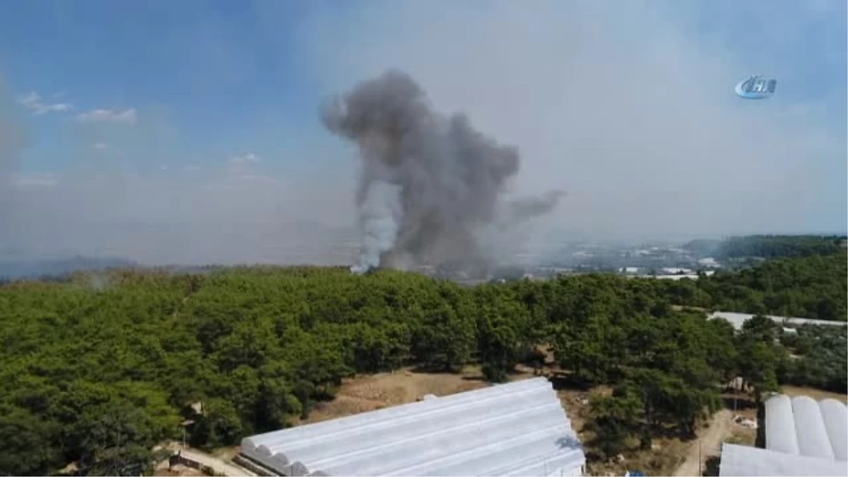 Antalya\'da Orman Yangını... Karadan Ulaşım Zor Olduğu İçin, Havadan Müdahale Çalışmaları Sürüyor