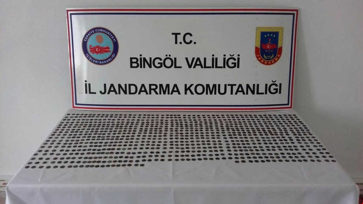 Bingöl ve Muş\'ta Tarihi Eser Kaçakçılığı Operasyonu