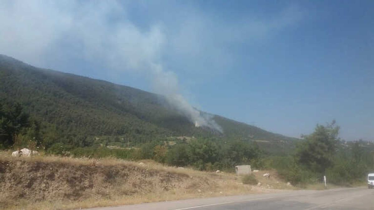 Denizli\'de Orman Yangını Büyümeden Kontrol Altına Alındı