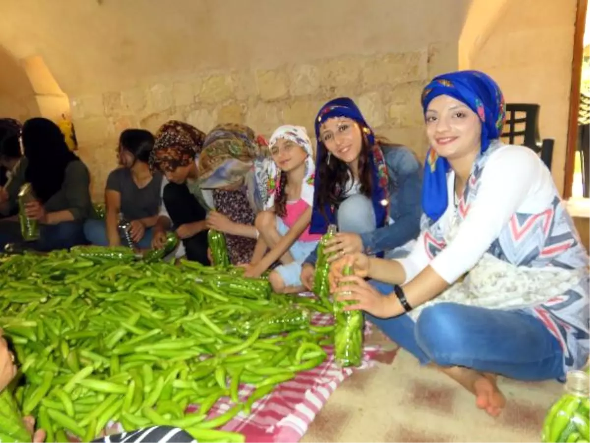 Midyat\'ta Kadınların Turşu Mesaisi Başladı