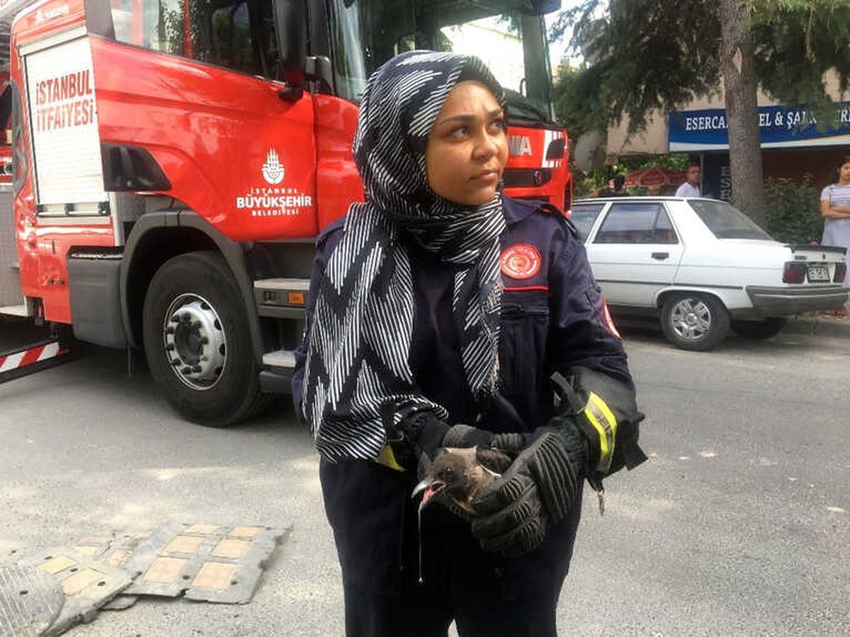 Ağaçta Mahsur Kalan Yaralı Karganın İmdadına Kadın İtfaiyeci Yetişti