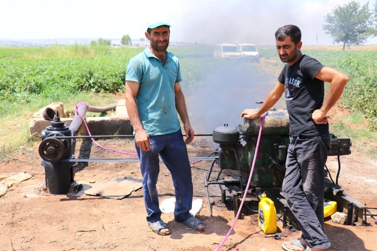 Tarlasına Su Gelmeyince Geleneksel Yöntemi Uygulamaya Başladı