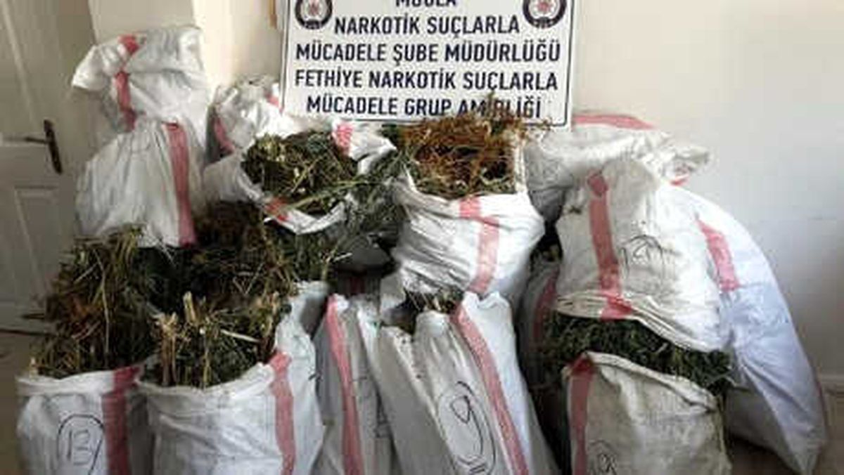 Seydikemer\'de 110 Kilo Esrar Ele Geçirildi