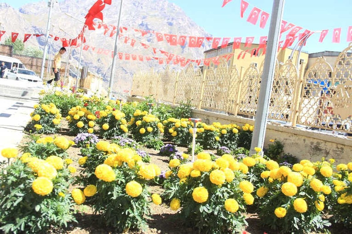 Sümbül Dağı Gölgesinde Bir Renk Cümbüşü