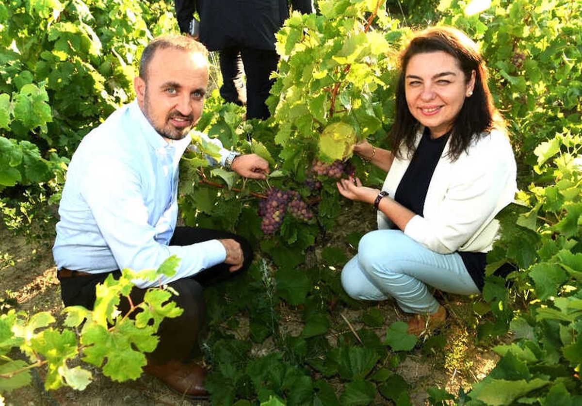 Turan\'dan, Bozcaada\'ya Ziyaret