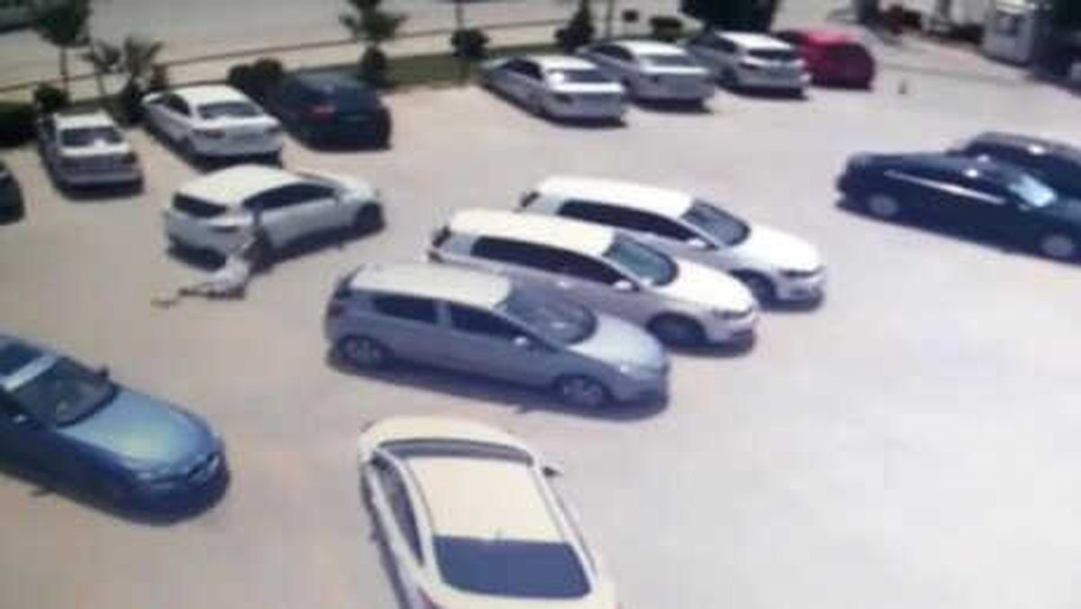 Aracın Arkasında Sürüklendi Ama Çantasını Kaptırmadı