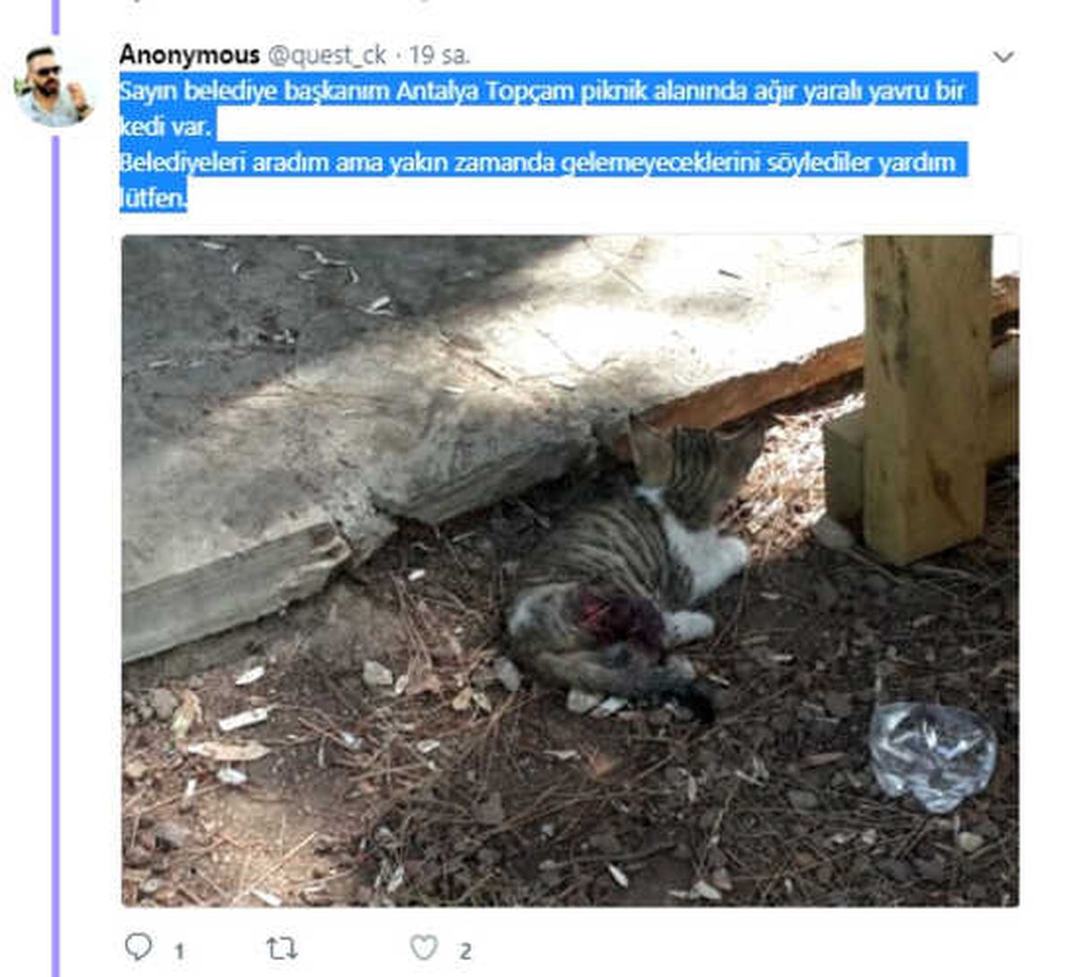 Büyükşehir Sevimli Dost İçin Seferber Oldu