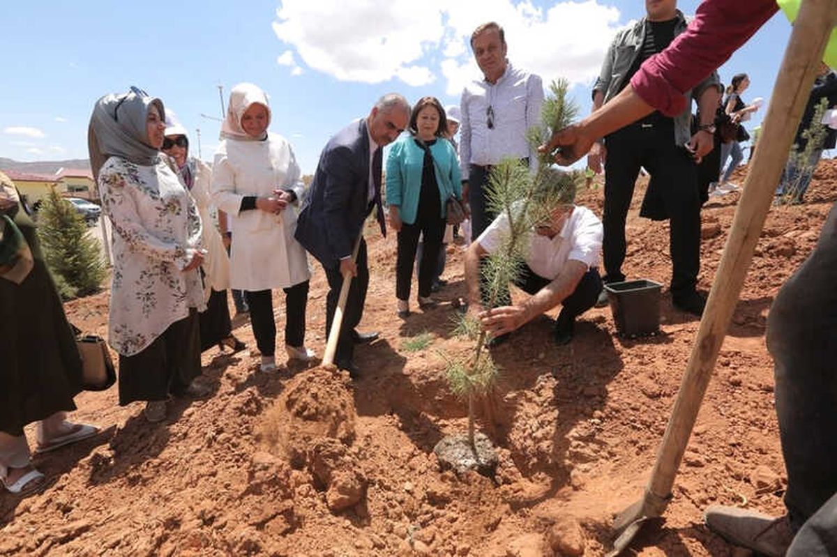 Çöp Sahası Yeşerecek