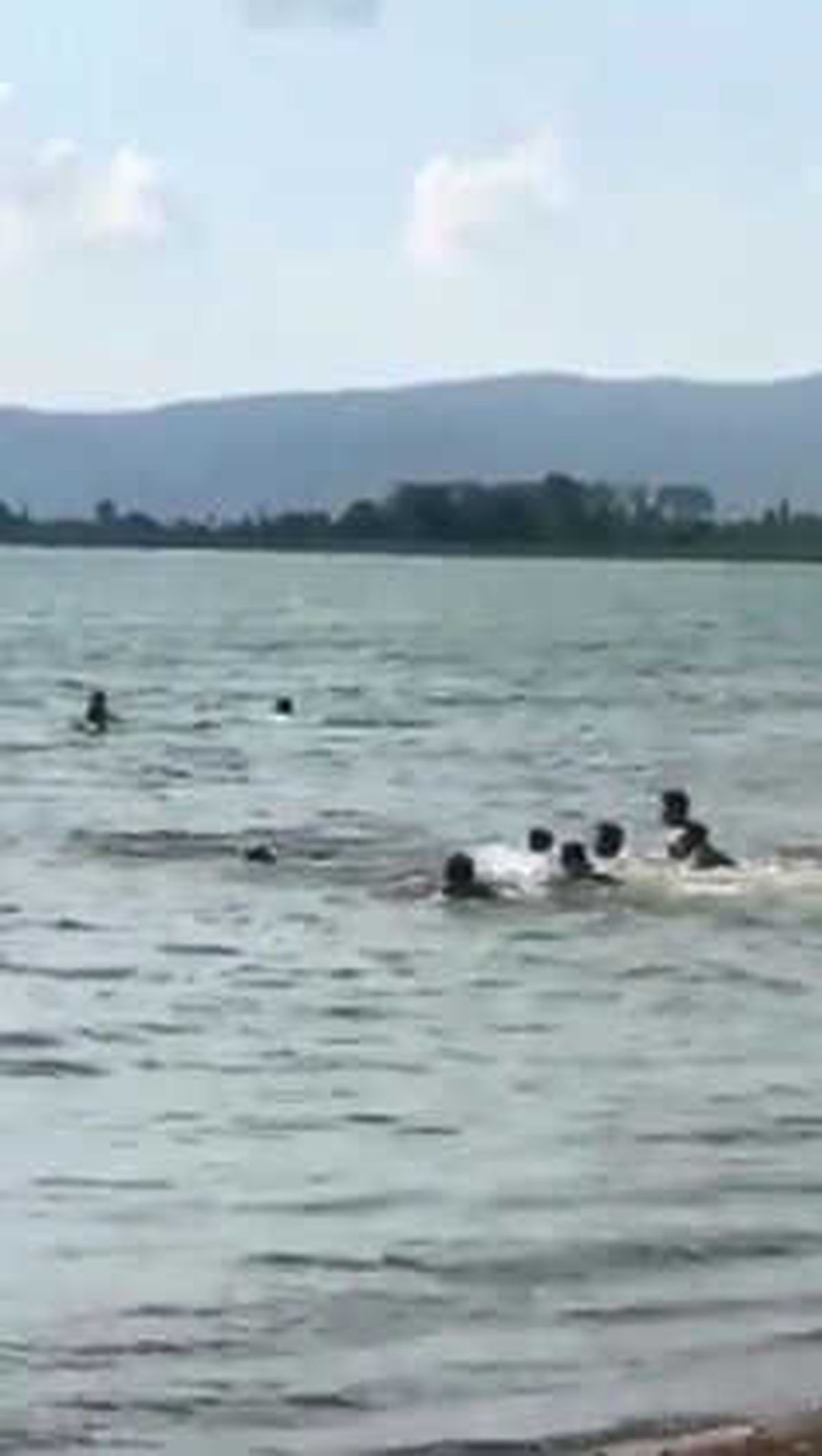 İznik Gölü\'nde Can Pazarı