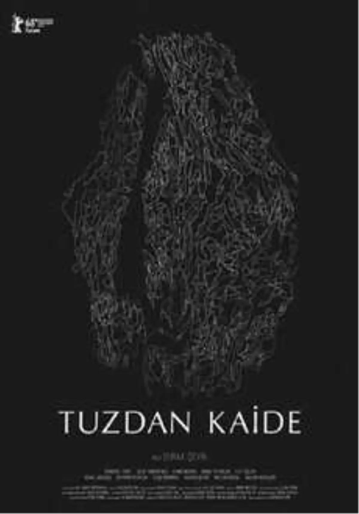 Tuzdan Kaide Filmi