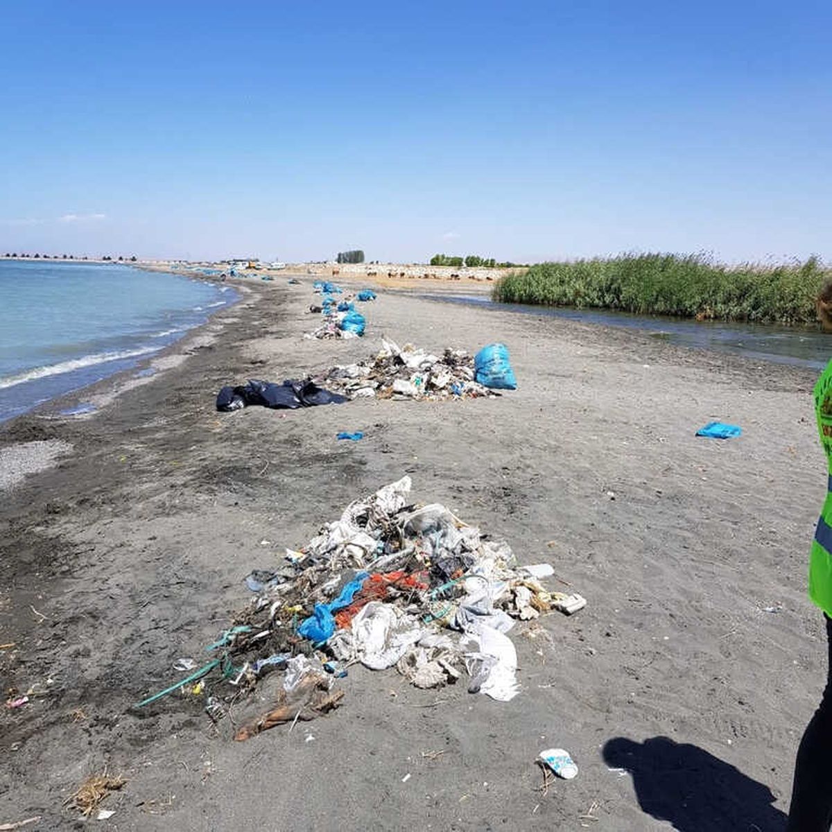 Van Gölü Sahilinde 40 Ton Çöp Toplandı