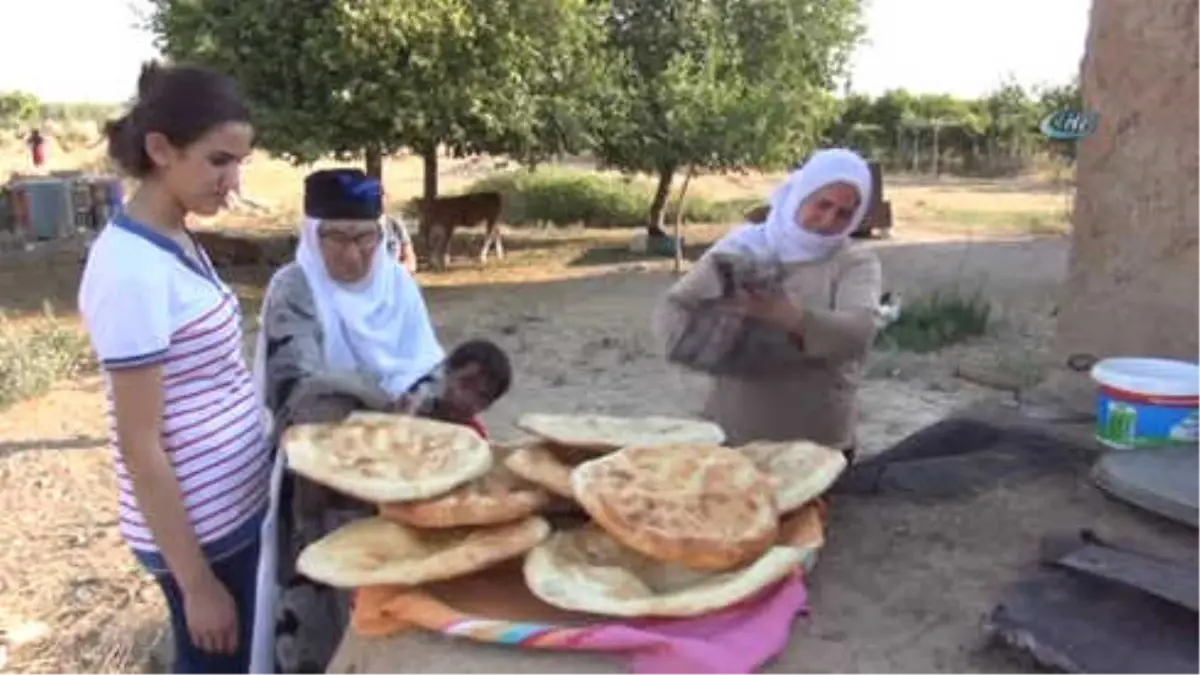 Yıldızlarla Uyuyup, Kuş Sesleriyle Uyanıyorlar