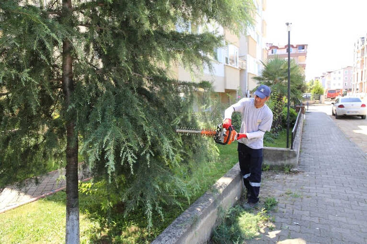 Altınordu Belediyesi Yolları Güvenli Hale Getiriyor