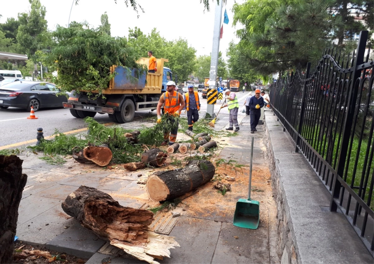 Ankara\'da Fırtınada Ağaçlar Devrildi