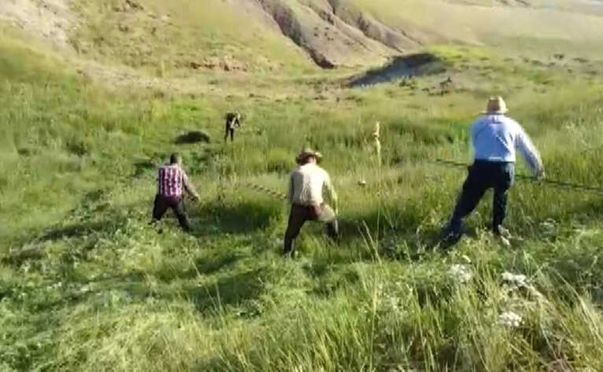 Asırlık Tırpan Geleneği Yaşatılmaya Devam Ediliyor
