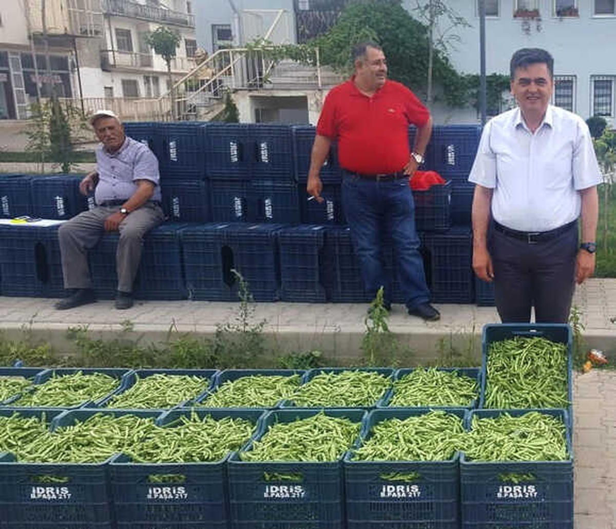 Bu Yeşil Fasulyenin Kilosu 90 TL\'den Satıldı