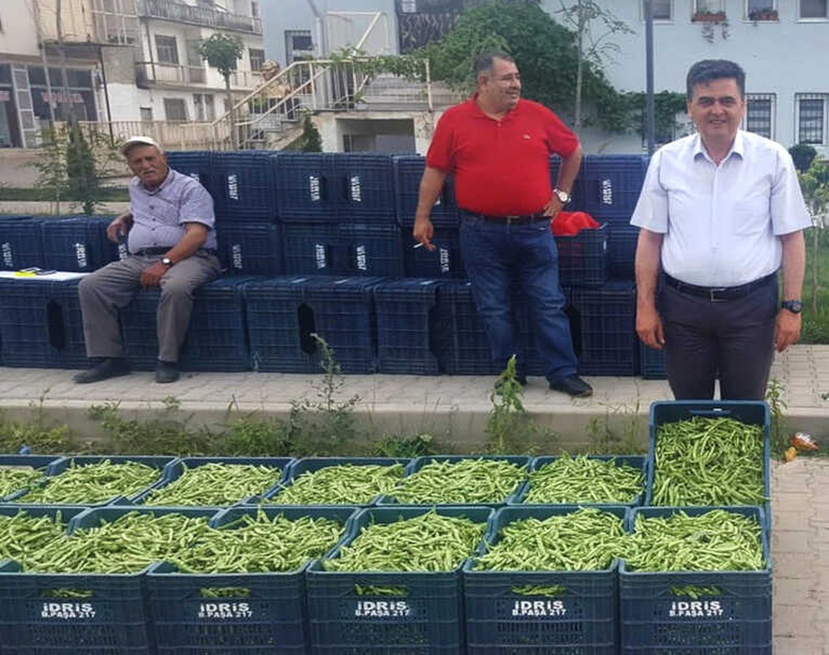 Bu Yeşil Fasulyenin Kilosu 90 TL\'den Satıldı