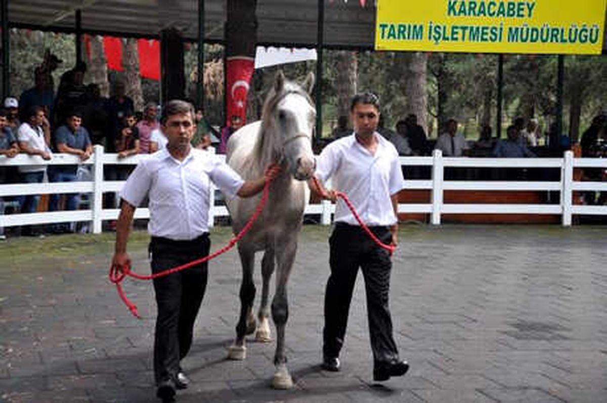 Daire Fiyatına \'Tay\'