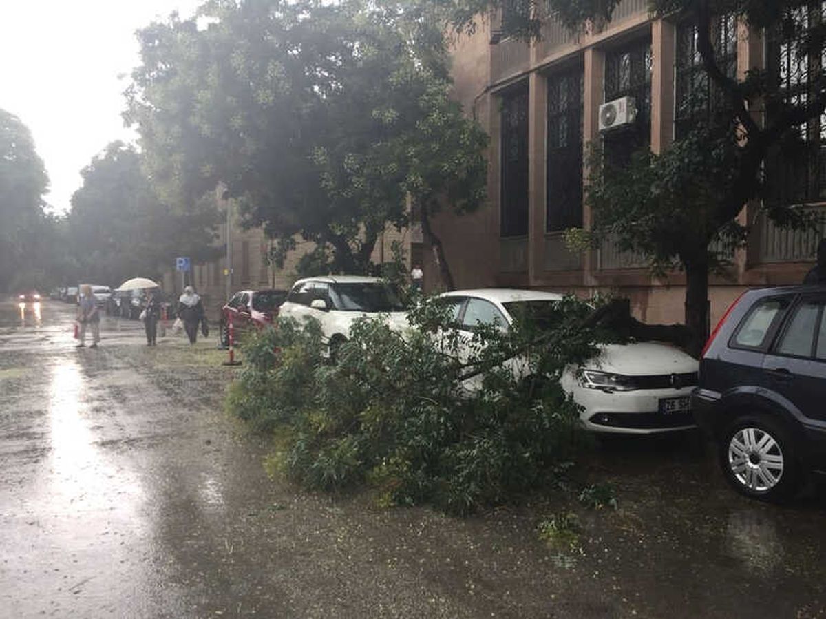Eskişehir\'deki Fırtına Ağaçları Devirdi, Araçlara Zarar Verdi