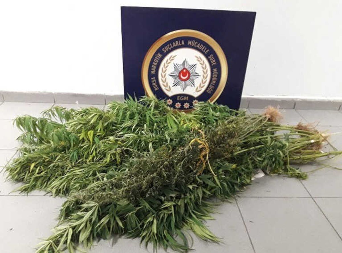 İpteki Çamaşırların Ceplerine Uyuşturucu Sakladılar