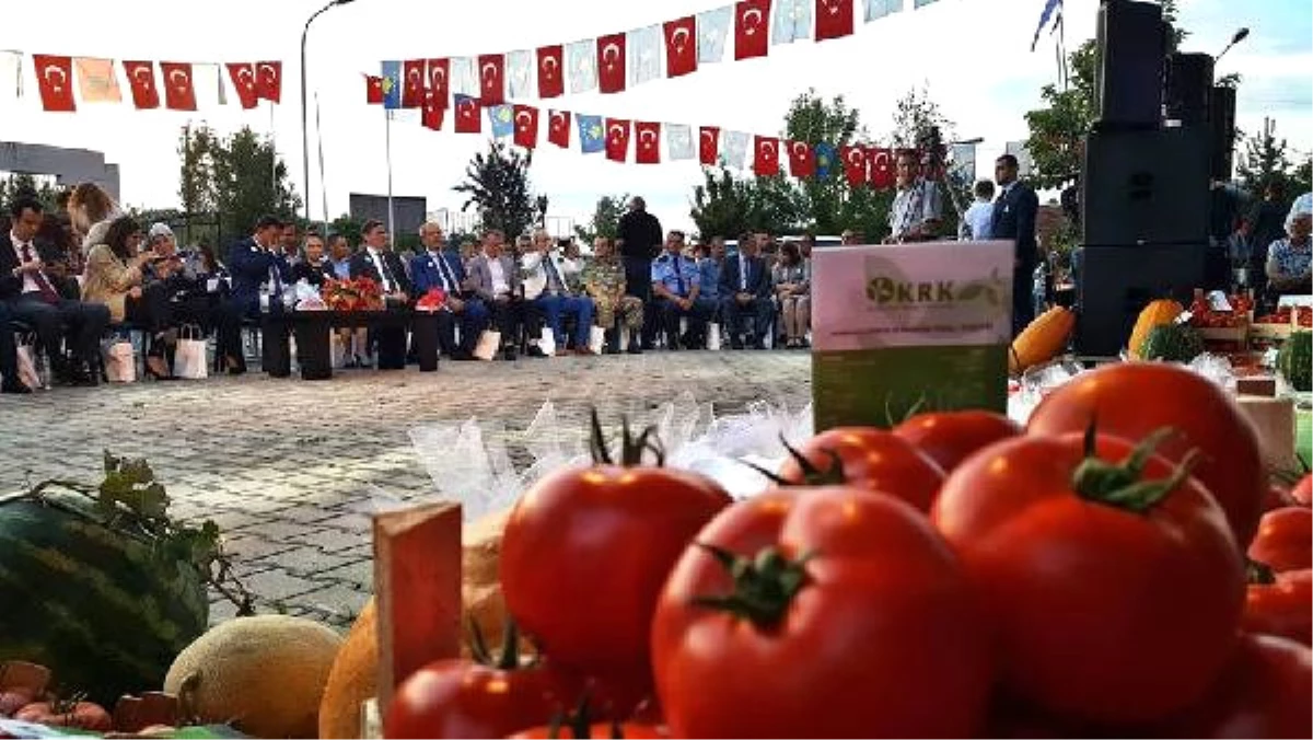 Kosova\'da 10\'uncu Domates Festivali Düzenlendi