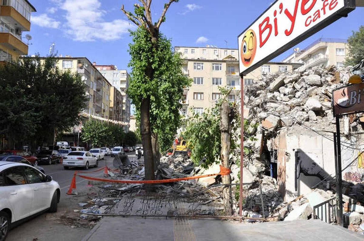 Molozlar Ağaçlara Zarar Verdi