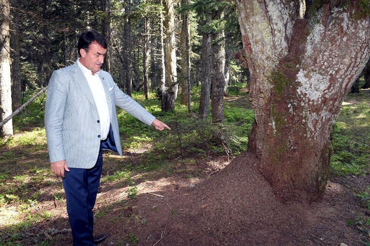 Uludağ\'a "Endemik Park"