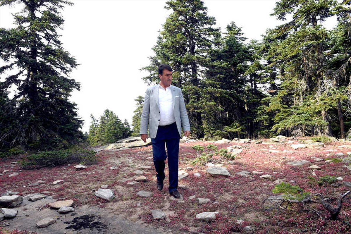 Uludağ\'da "Endemik Park" Kurulacak
