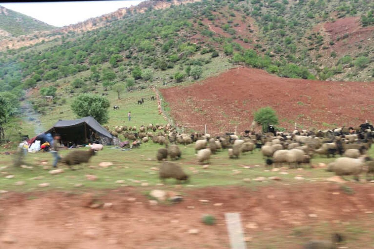 Dağlar Artık Çok Huzurlu