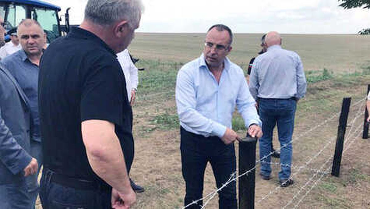 Domuz Vebasına Karşı Tel Örgü ile Önlem