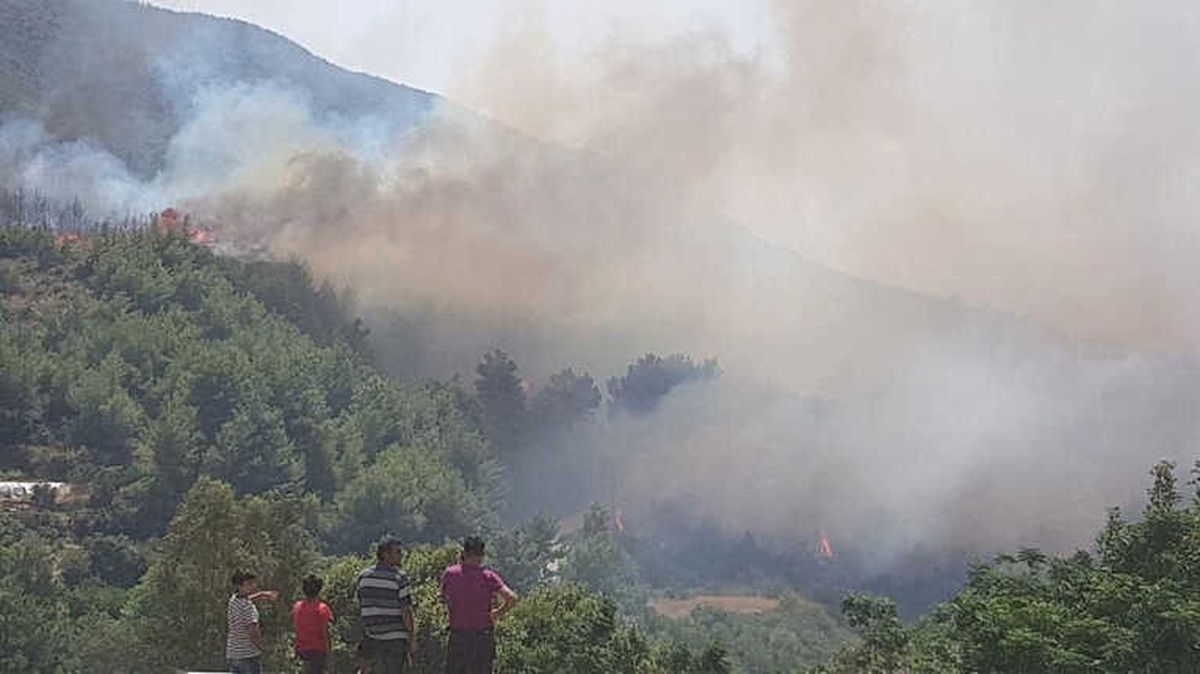 Hatay\'da Orman Yangını
