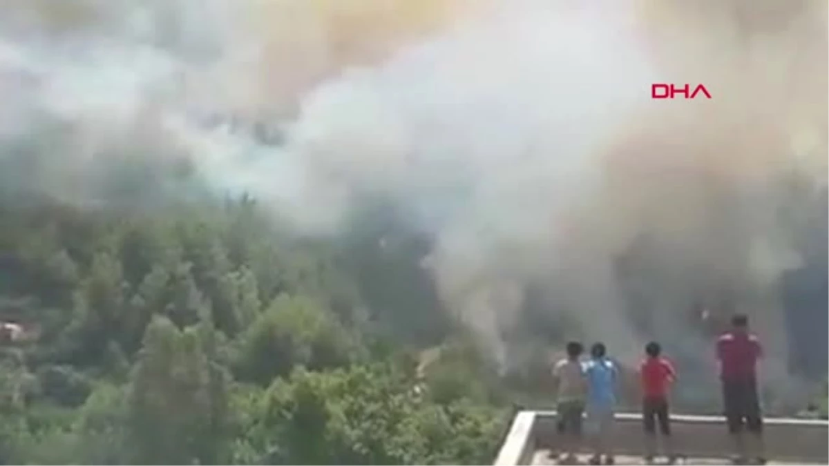Hatay\'daki Orman Yangını 5 Eve Zarar Verdi