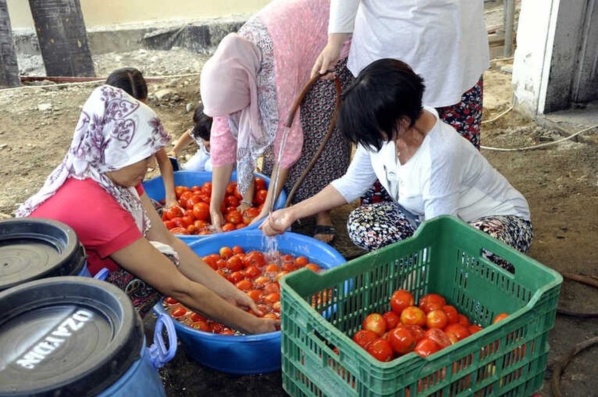 Kadınlar \'Alo Salçacı\' ile Büyük Dertten Kurtuldu