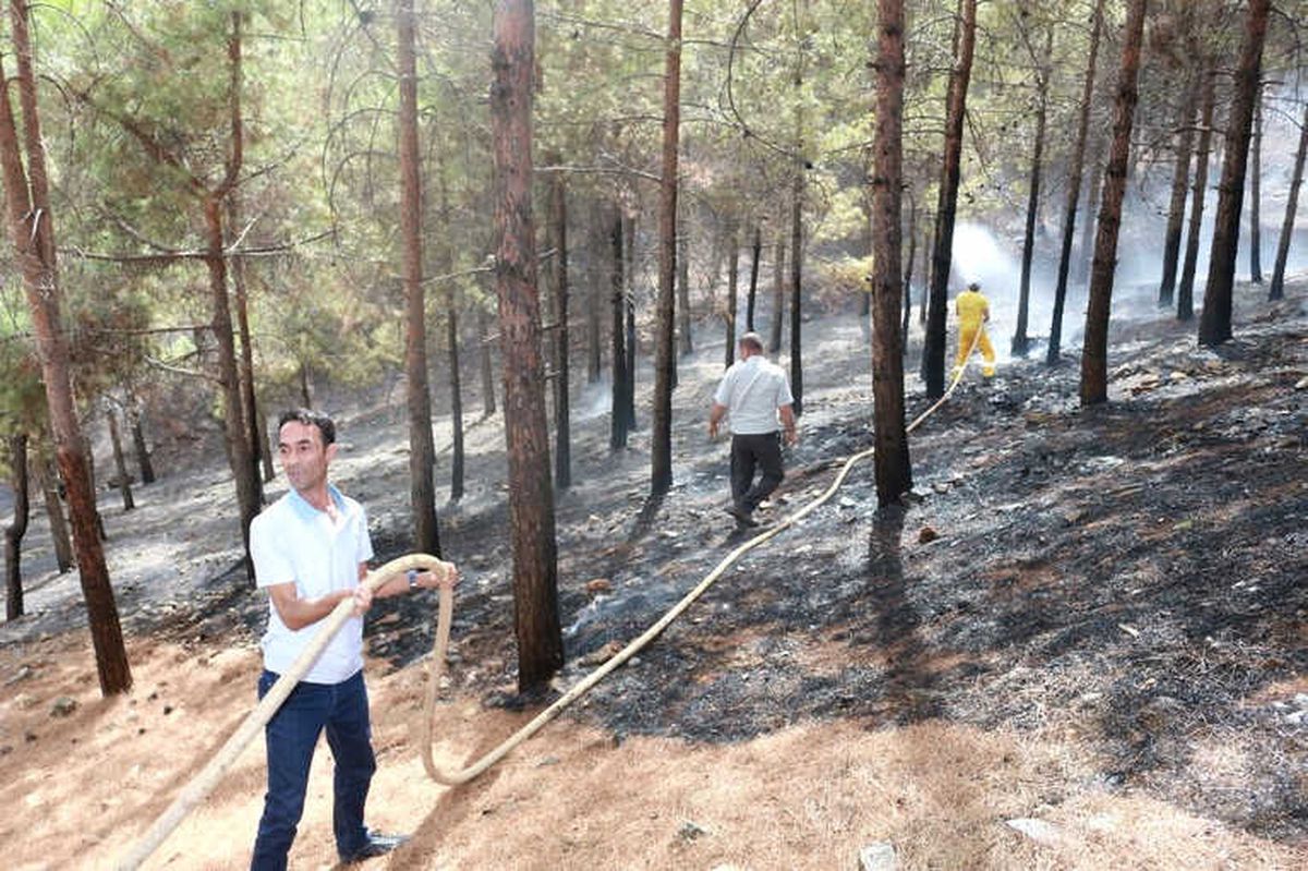 Ormanlık Alan İki Haftada 10 Defa Yandı