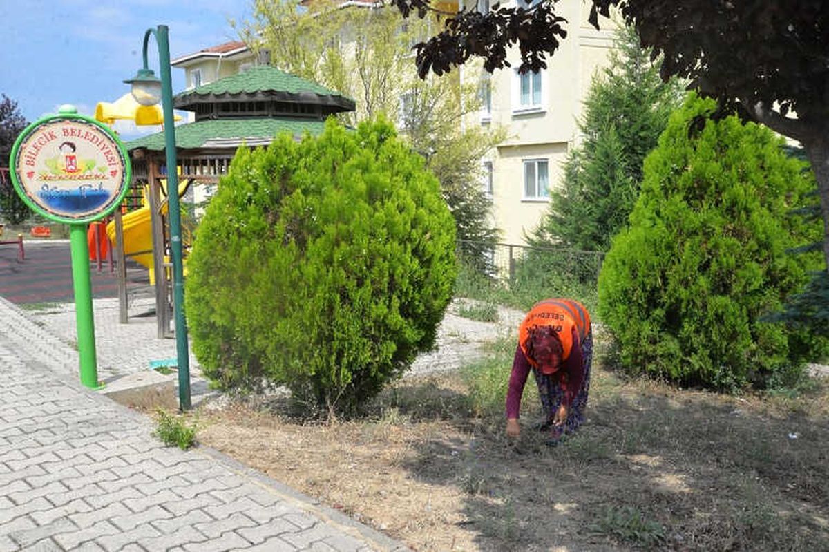 Daha Yeşil Bir Bilecik İçin Çalışıyorlar
