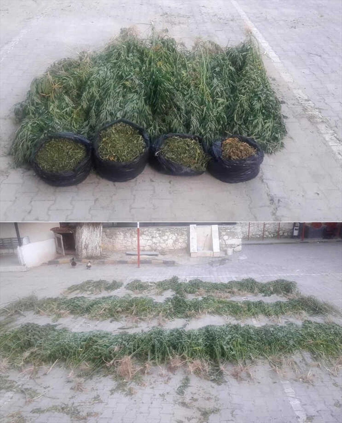 Denizli\'de Uyuşturucu Operasyonu