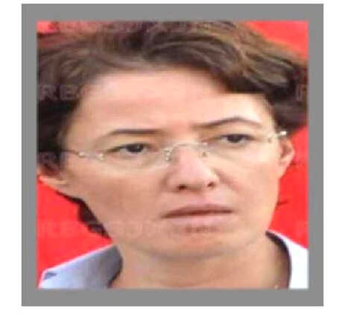 Gri Liste"De Aranan Meryem Özsöğüt Tutuklandı