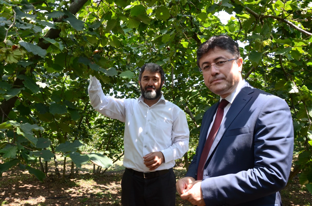 Gübretaş, Ordu\'da Bahçe Günü Etkinliği Düzenledi