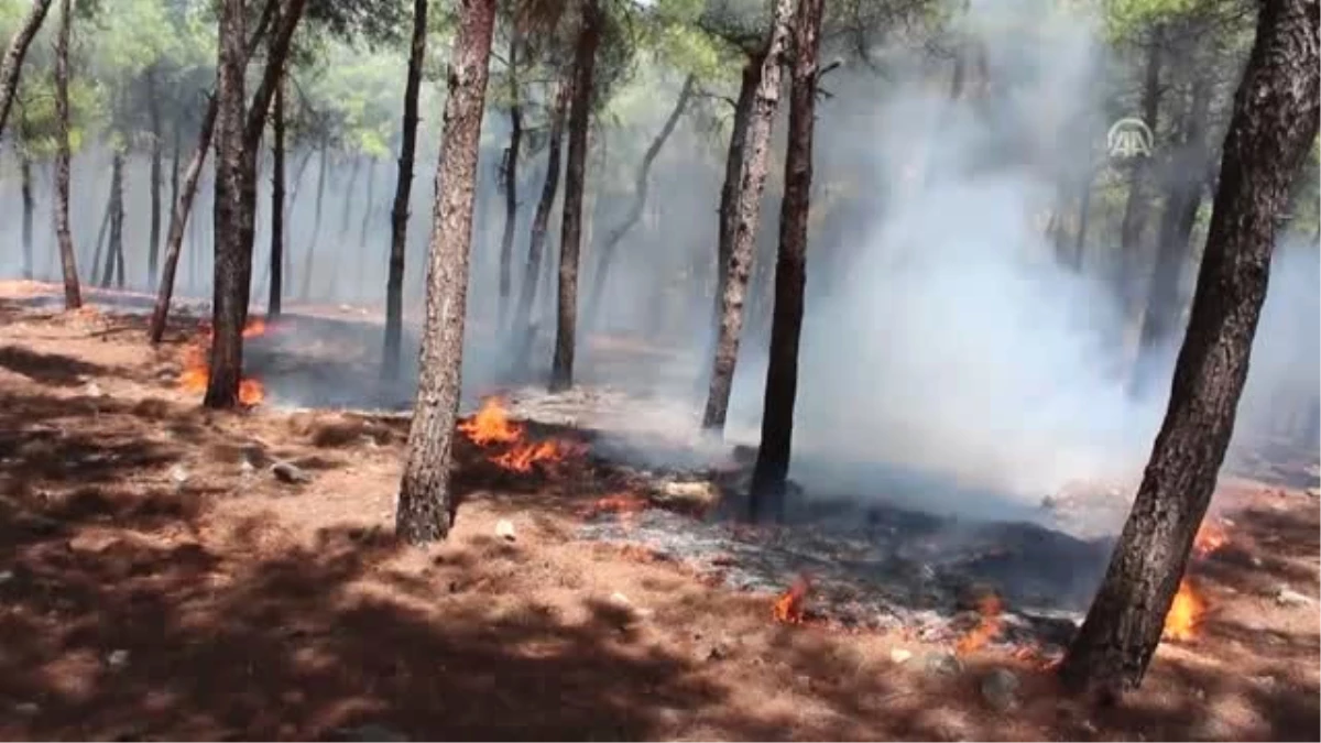 Kırıkhan\'da Orman Yangını