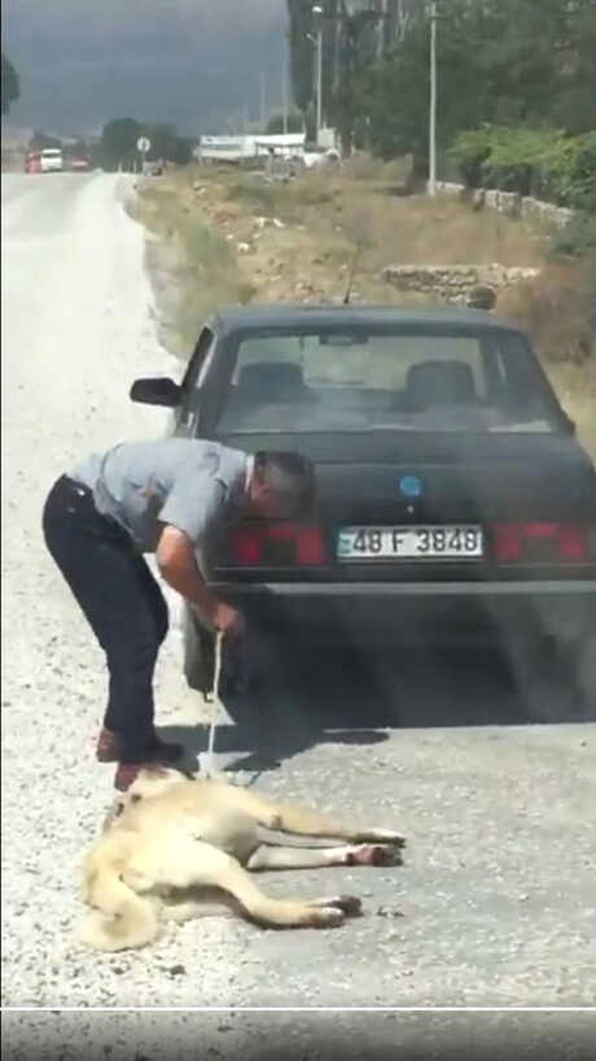 Otomobilin Arkasına Bağladığı Köpeği Sürükledi