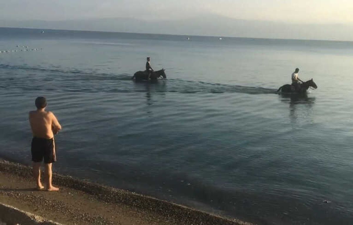 Atları Denize Sokup Serinlettiler