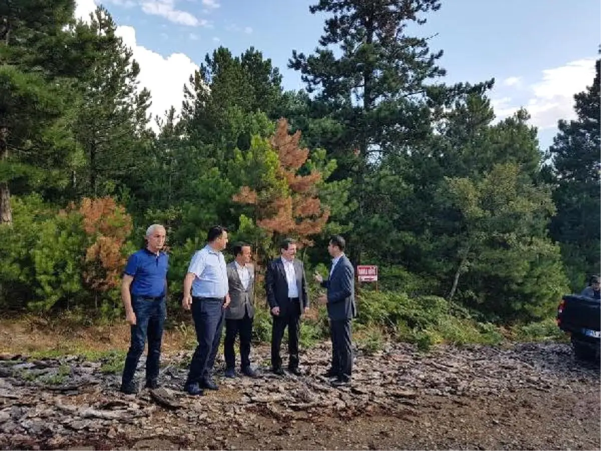 Çanakkale\'den Edremit Körfezi\'ne Yeni Ulaşım Yolu