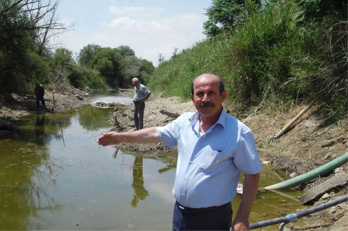 Sakarya Nehri Kurumaya Yüz Tuttu